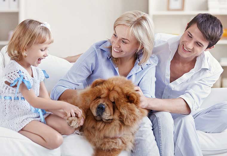 Image of a young family petting a dog in the living room.